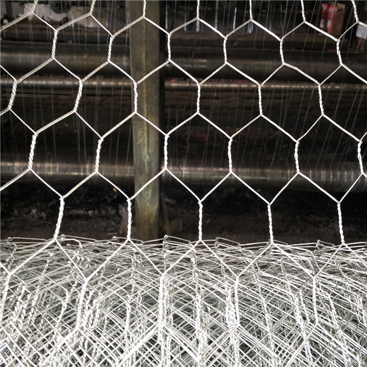 Quality Hot Dipped Galvanized Hexagonal Wire Netting for sale