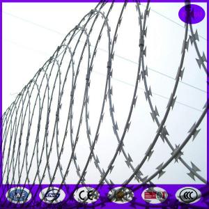 Quality Razor wire -Flat Warp Razor Barbed Wire for sale