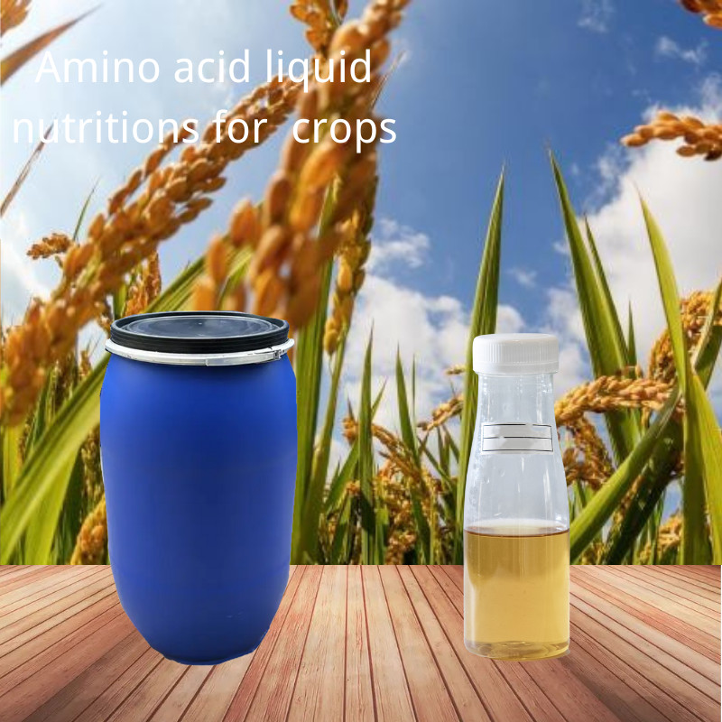 Quality Liquid 5%Organic Calcium And 2% Organic Nitrogen Enzymatic Amino Acid Organic Fertilizer for sale