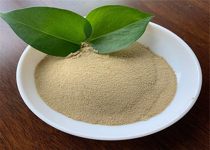 Quality Top Quality Soy Protein Hydrolysis Free Amino Acid 80 Factory In China with Light Yellow Powder for sale