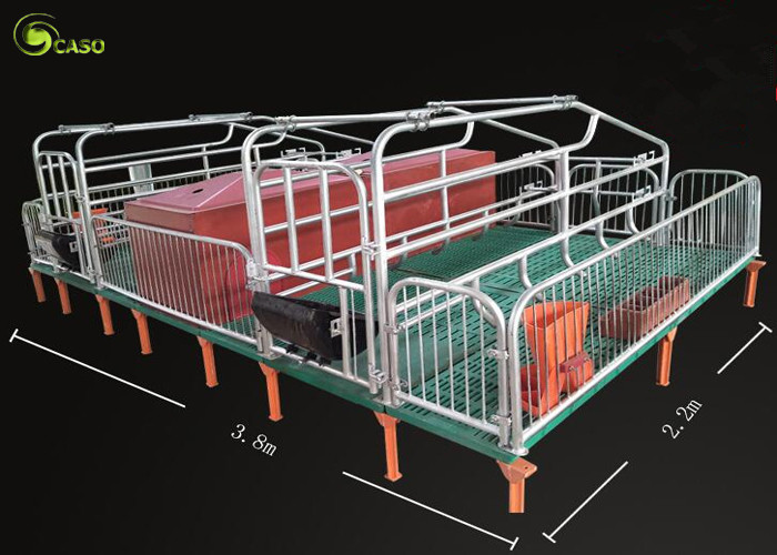 Quality Pig Breeding Equipment Galvanized Pig Limit Pen Elevated Pig Farrowing Crate for sale