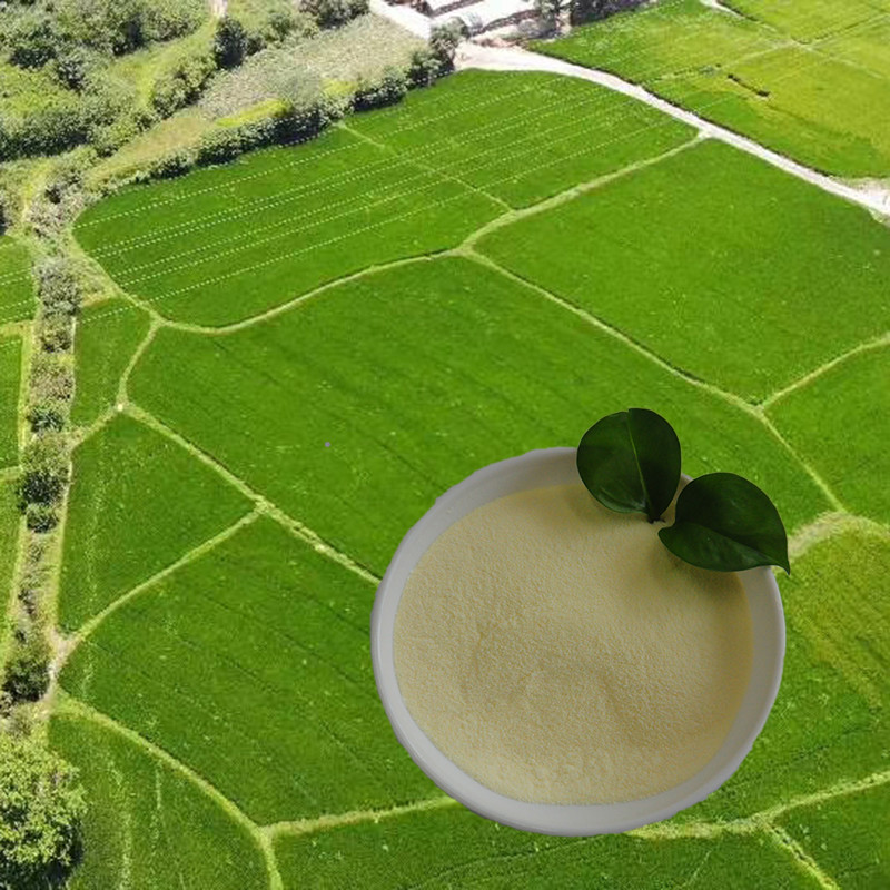 Quality OMRI list soy protein hydrolysate amino acid nitrogen16 Amino Acid Powder 85% Agriculture for sale
