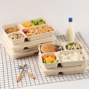 Quality BPI BRC NSF 24*18*4cm Bagasse Lunch Box Microwavable Refrigerable for sale