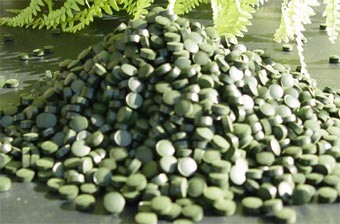 Quality chlorella and spirulina tablets manufacturer/250mg,500mg/tablet/brand private OEM services for sale