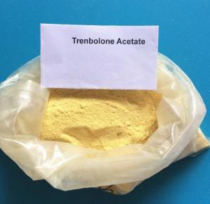 Quality CAS 10161-33-8 Trenbolone Steroids , Injectable Parabolan Trenbolone Enanthate for Bodybuilding for sale