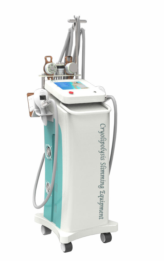 Quality 5MHz RF Cryolipolysis Slimming Machine For Lose Weight, Face Lift 220 / 110V for sale