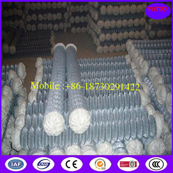 Quality Chain Link Wire Mesh (25-200 MM) for sale