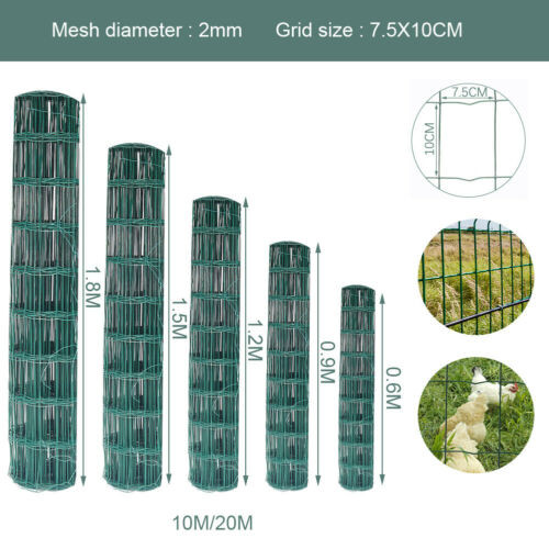 Quality Garden Holland PVC Coated Fence Wire Mesh for sale