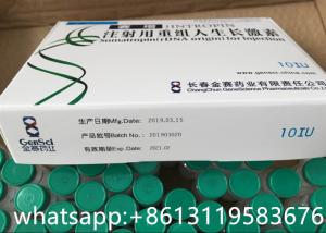 Quality 10IU 3.7mg Jintropin HGH Human Growth Peptide ISO9001 For Fat Burning for sale