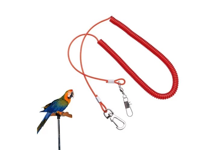 Quality Plastic Red Wire Coil Lanyard Parrot Fly Training Security With Snap Hook / Pin for sale