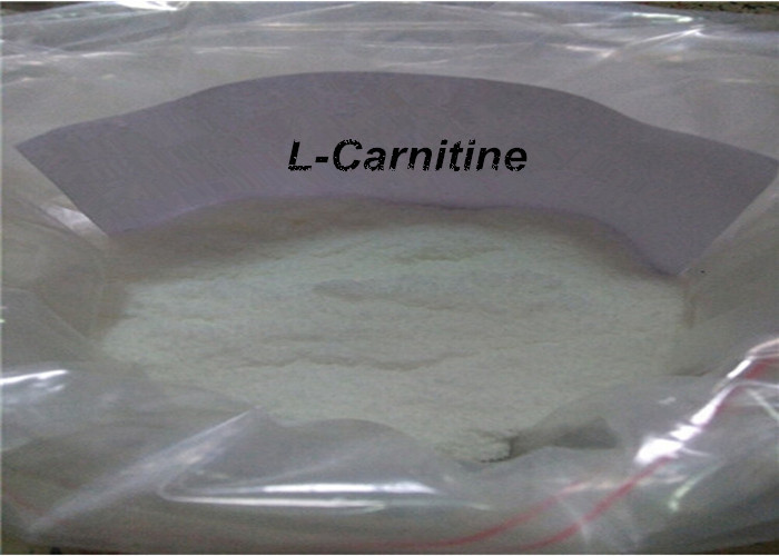Quality Pure Anabolic Weight Loss Steroid L - Carnitine Supplement Fat Burner for sale