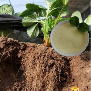 Quality Plant Growth Enhancer Biostimulant Amino Acid Powder Fertilizer Nitrogen 14 for sale