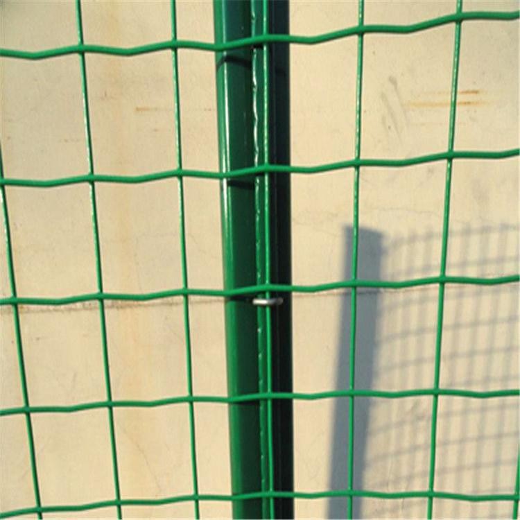 Quality Garden Holland PVC Coated Fence Wire Mesh for sale