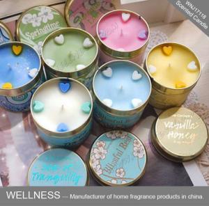 Soy Wax Scented Tin Candles , Handmade Non Toxic Long Lasting Scented Candles