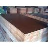 Buy cheap 15mm black browm red film faced shuttering plywood construction plywood from wholesalers