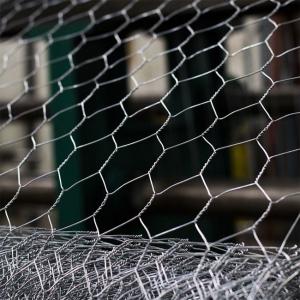 Quality Q235 HDG Metal Chicken Wire Garden Fence BWG25 Straight Twisted for sale