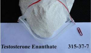 Quality Steroids Testosterone Enanthate Dianabol Primobolan Masteron Powder for Bodybuilding CAS 315-37-7 for sale