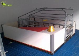 Quality Automatic Swine Farrowing Crates Stainless Steel Drinker Cast Iron Floor for sale