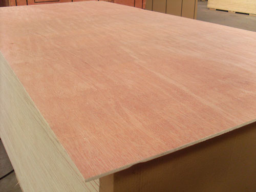 Quality Bintangor Face / Back Commercial Plywood 8% - 14% Moisture Content No Harm For Kids for sale
