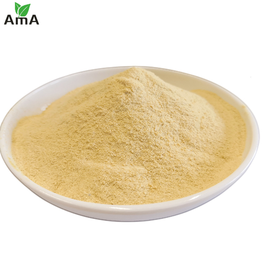 Quality Plant Soya Source Amino Acid Foliar Fertilizer 60% Powder Glutamic Acid 20% For Field Crops for sale