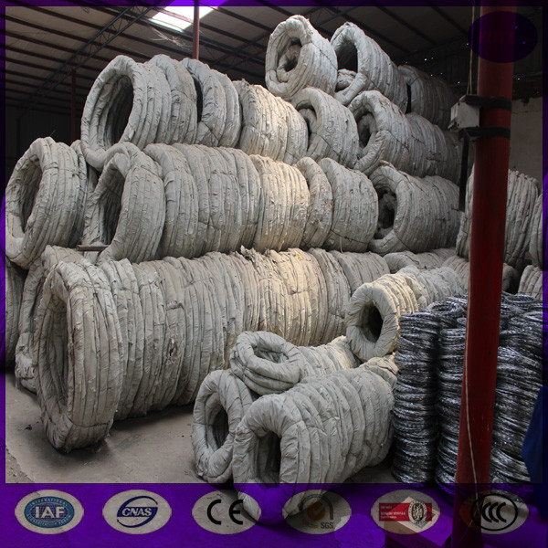 Quality 700mm coil ,10 meter /roll Hot Dipped Galvanized Razor barbed wire for sale