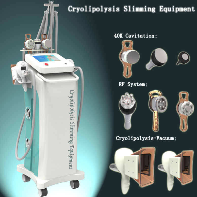 Quality Cryolipolysis Freezing Fat Liposuction RF Multifunction Beauty Machine for sale
