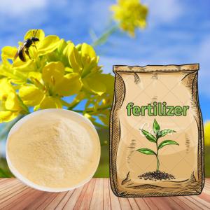 Quality Amino Acid Chelate Magnesium Water Soluble Organic Fertilizer For Field Crops for sale