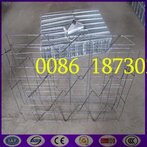 Quality China Best  New type  3D Welded Mesh Panel with Expanded Rib Lath for sale
