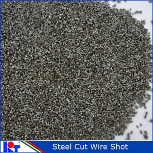 Quality blasting abrasive steel cut wire shot -No.1 manufacturer in china for sale