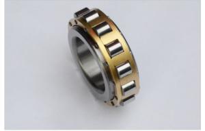 Quality RN205M Cylindrical Roller Bearing 25x46.5x15mm for sale