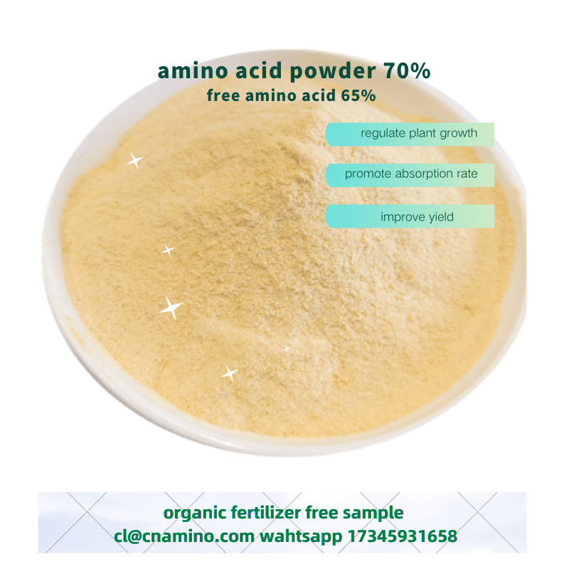 Quality High Free Amino Acid 65% Agriculture Fertilizer Powder Form For Plants for sale