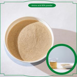 Quality Hydrolysate Animal Protein Based Amino Acid Powder 80% Agricultural Fertilizers for sale