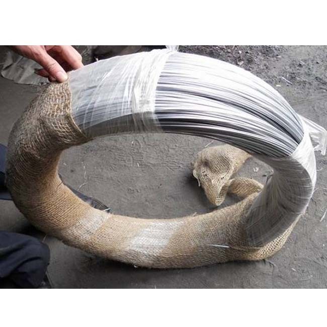 Quality 15g/M2 Zinc Coated 22 Gauge Galvanized Steel Wire Anti Acid 1Kg/ Roll for sale