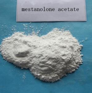 Quality Primoteston Methyl-Dht; 17A-Methyldihydrotestosterone Mestanolone for Muscle Leaning CAS 521-11-9 for sale