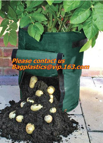 Quality Horticulture, NURSERY, PLANTER, SEED, PLASTIC GROW BAGS, HYDROPONICS, FLOWERPOTS, BLACK for sale