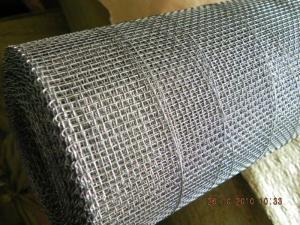 Quality Double Locked Crimped Mesh for sale