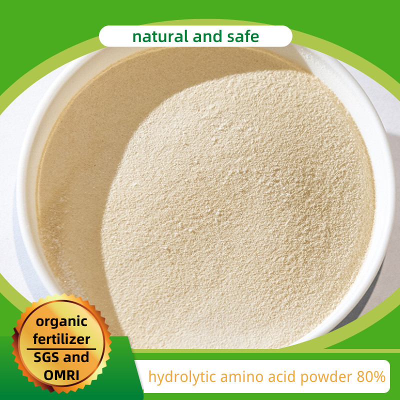Quality Amino Acid Fertilizer 80% Hydrolysis Powder Form For Fruits Vegetable Crops for sale