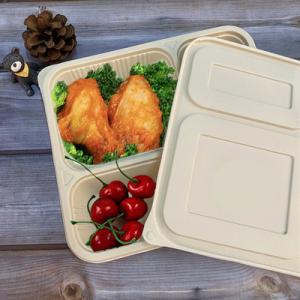 Quality 4 Compartment Biodegradable Takeaway Boxes for sale