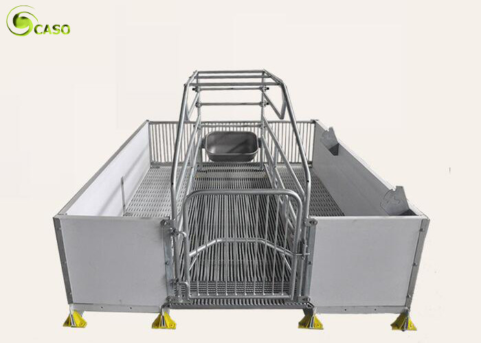 Quality Good Warming PVC Board Hog Farrowing Cage Automatic Piglet Nursery Stall Pen for sale