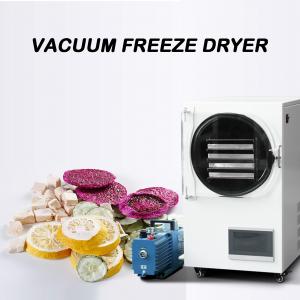 Quality Food Freeze Dryer Machine Vacuum Equipment 60Hz Dry Fruit Lyophilizer for sale