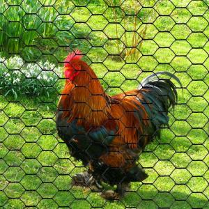 Quality Hexagonal Wire Netting for Chicken Wire for sale