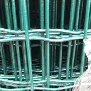 Quality Garden Green Holland PVC Coated Fence Wire Mesh Cheap Price for sale