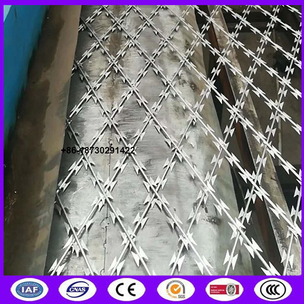 Quality High security welded razor wire mesh with blade type BTO-22 made in China for sale