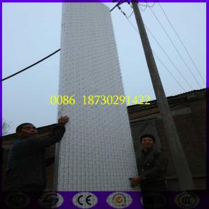 Quality 6 mtr length 3D EPS Steel Mesh Wall Panel for sale