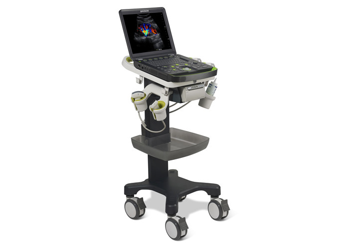 Quality NMPA Full Body 2 Probe Sockets Portable Ultrasound Device  BTH-50S for sale