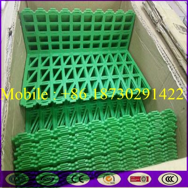 Quality China ABS Green Color Fruit Super Market Fence with Good Price for sale