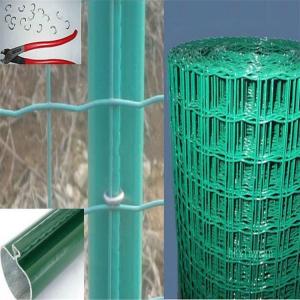 Quality Green PVC Welded Wire Steel Mesh Euro Fence for sale