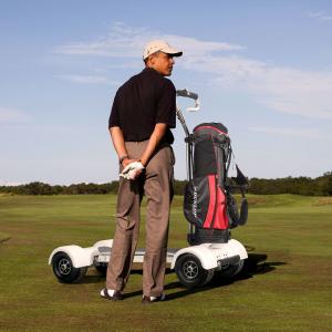 Quality EcoRider golf scooter electric golf cart scooter with removable battery for sale