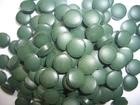 Quality chlorella and spirulina tablets manufacturer/250mg,500mg/tablet/brand private OEM services for sale