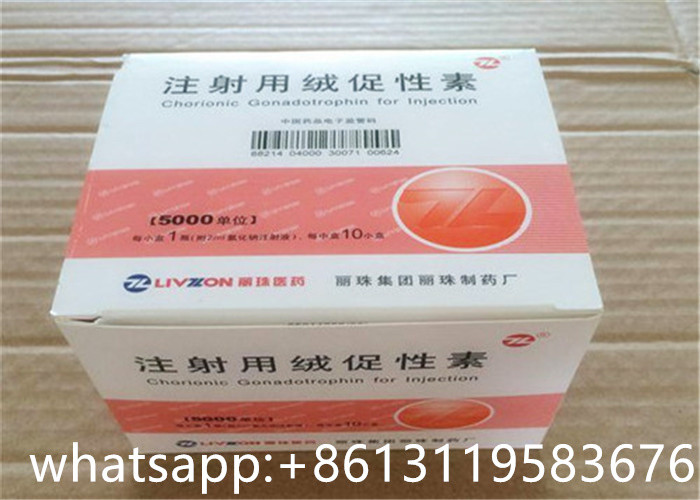 Quality 5000IU LIVZON HCG Chorionic Gonadotropin ISO9001 With Sterile Water for sale